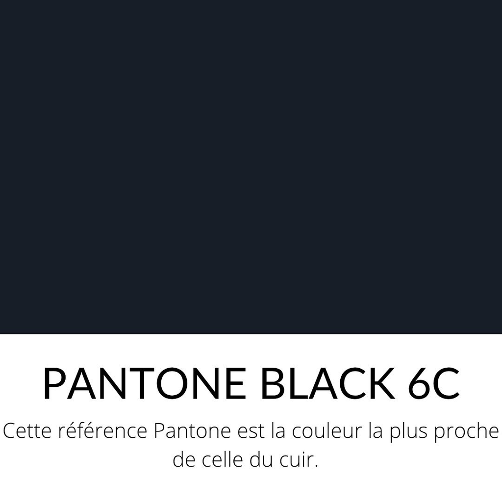 Vachette Lisse Rigide Noire Tannage Végétal