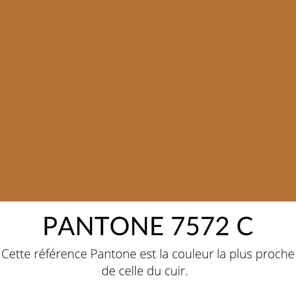 Vachette Grainée Rigide Camel Naturel Tannage Végétal-.webp