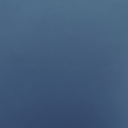 101.webp