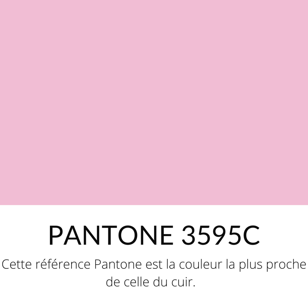 158.webp