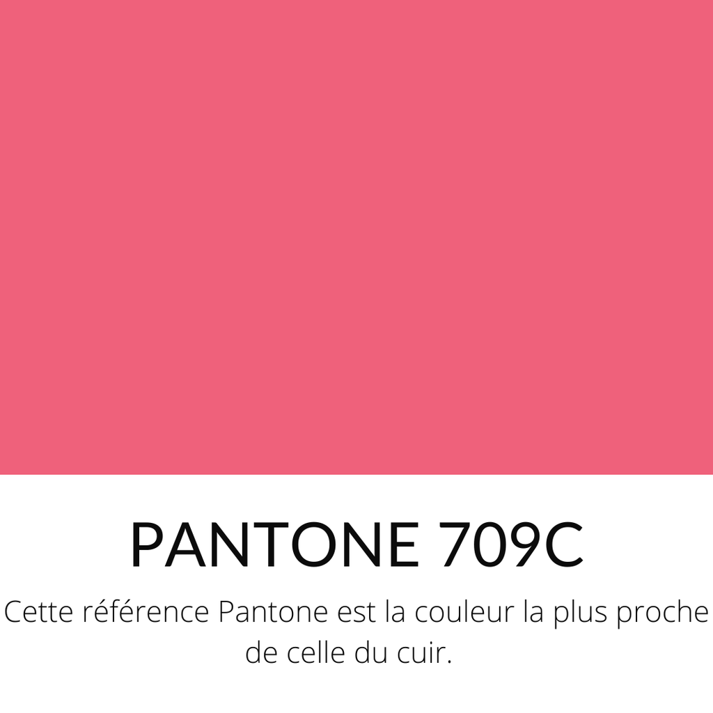 161.webp
