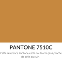 194.webp