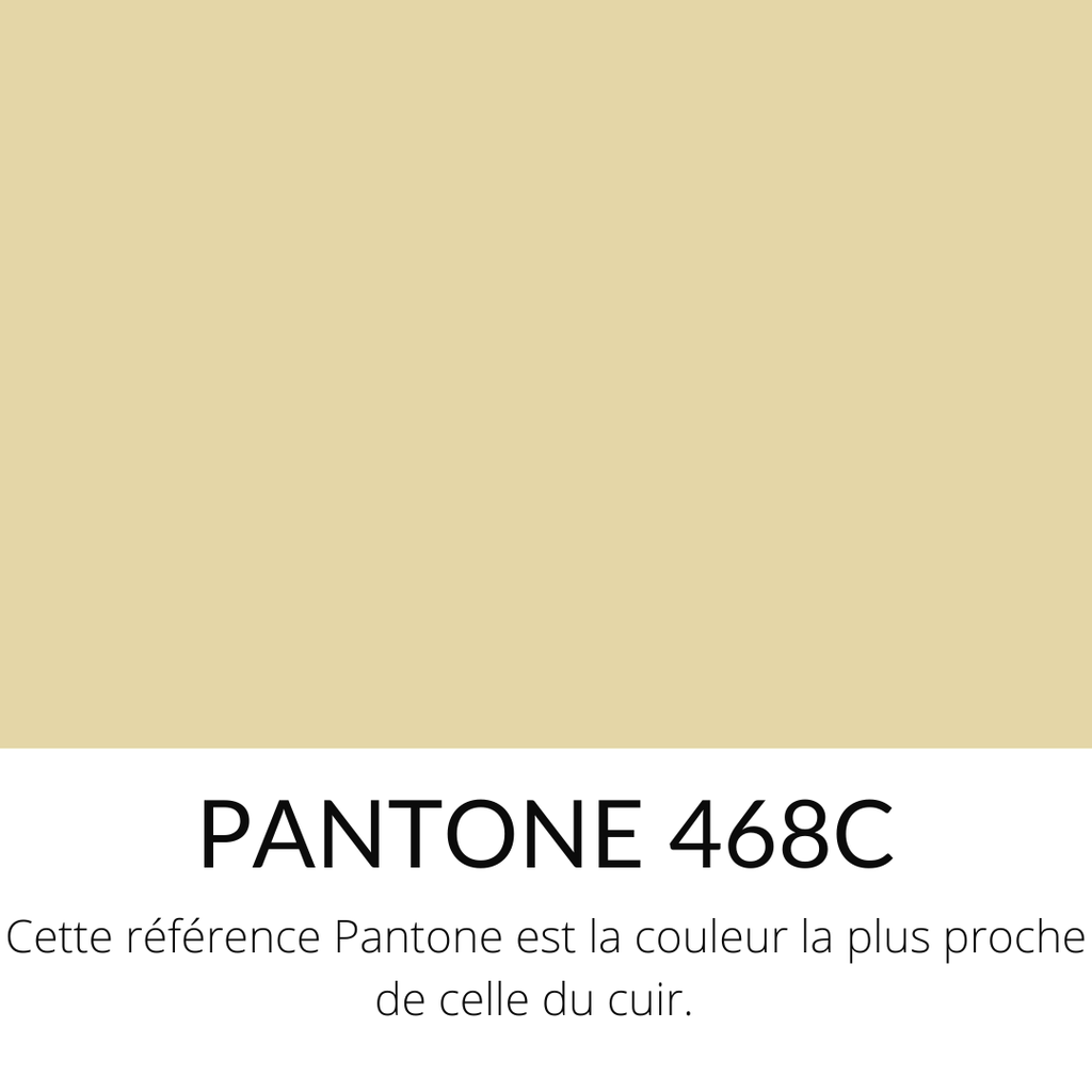 179.webp